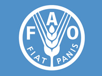 fao fao